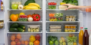 Organized refrigerator with fresh produce and prepped meals, symbolizing effective food waste reduction.